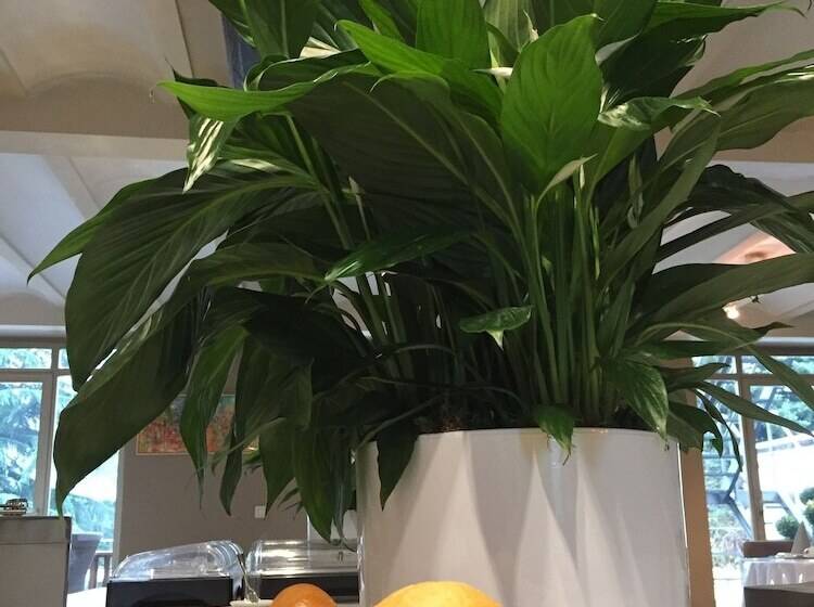 호스텔 Au Comte De Mercy