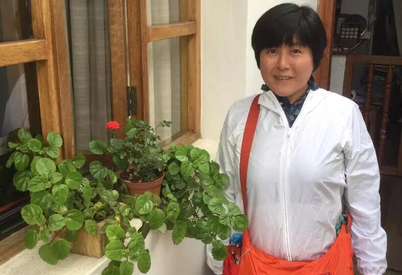 هاستل Posada Junco Y Capuli