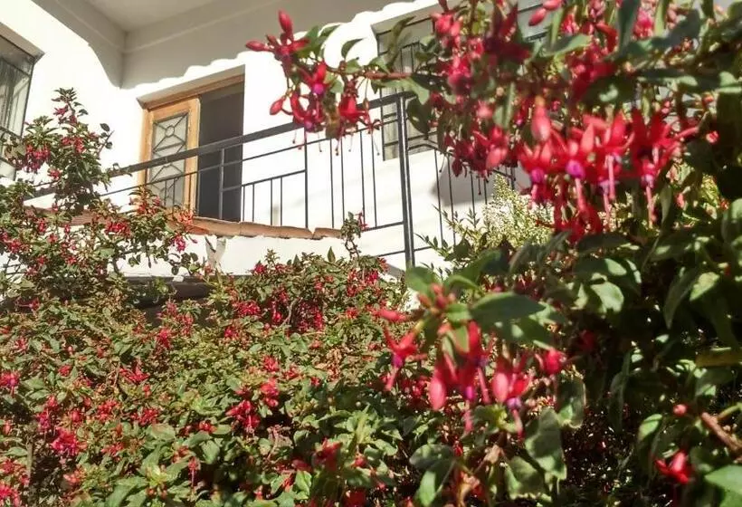 هاستل Posada Junco Y Capuli