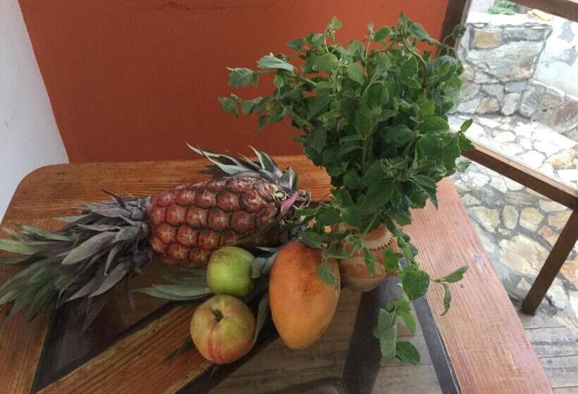 فندق صغير Posada Junco Y Capuli