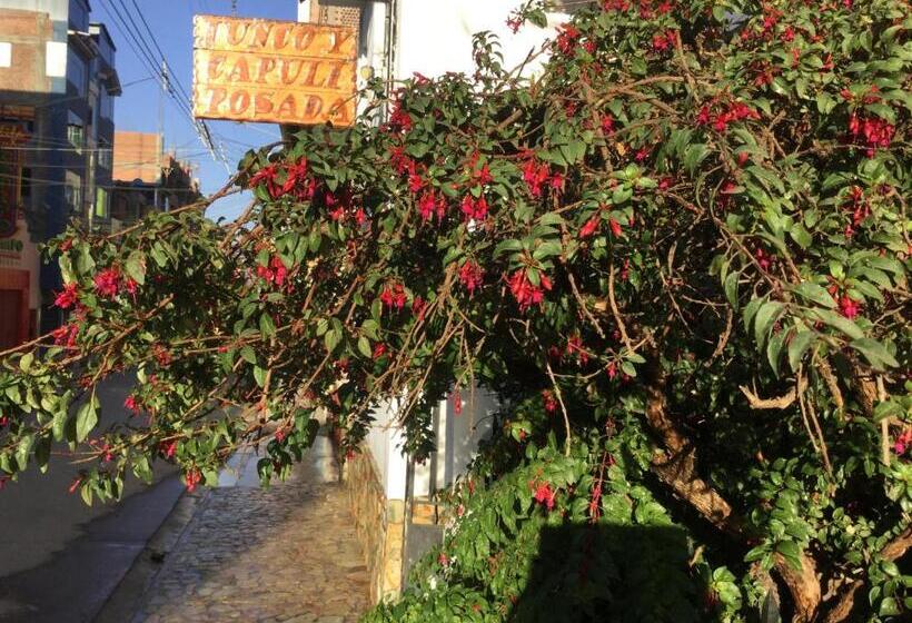 فندق صغير Posada Junco Y Capuli