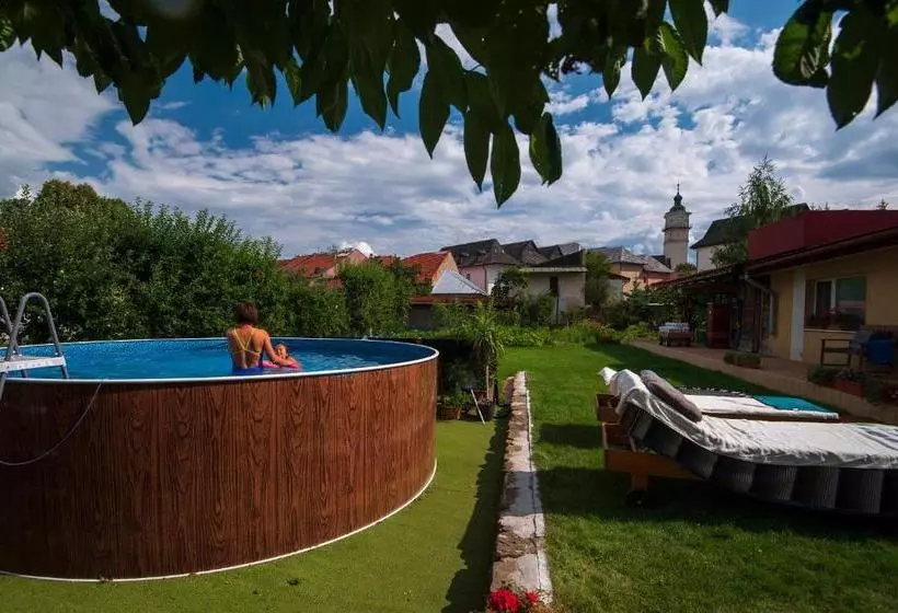 پانسیون Penzión Borievka