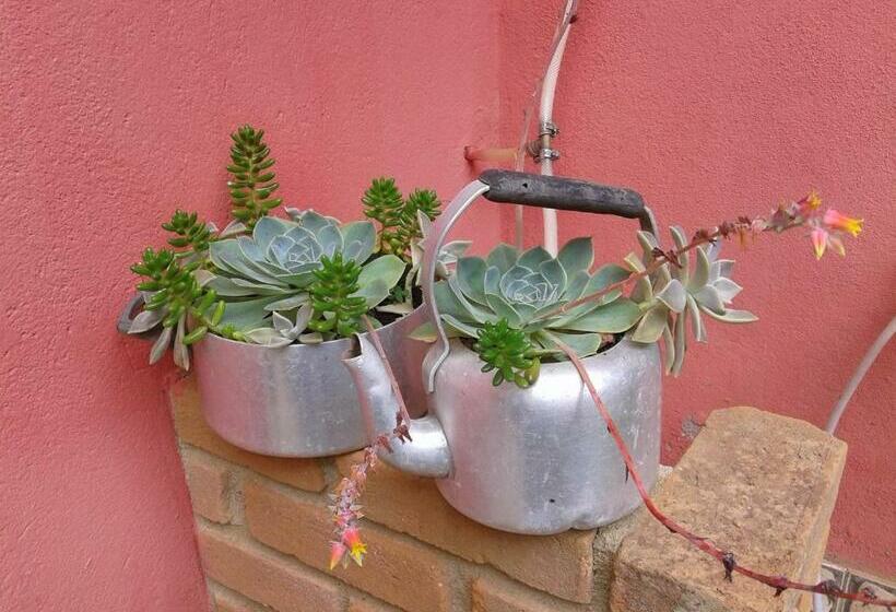 פנסיון Pousada Chácara Pacheco