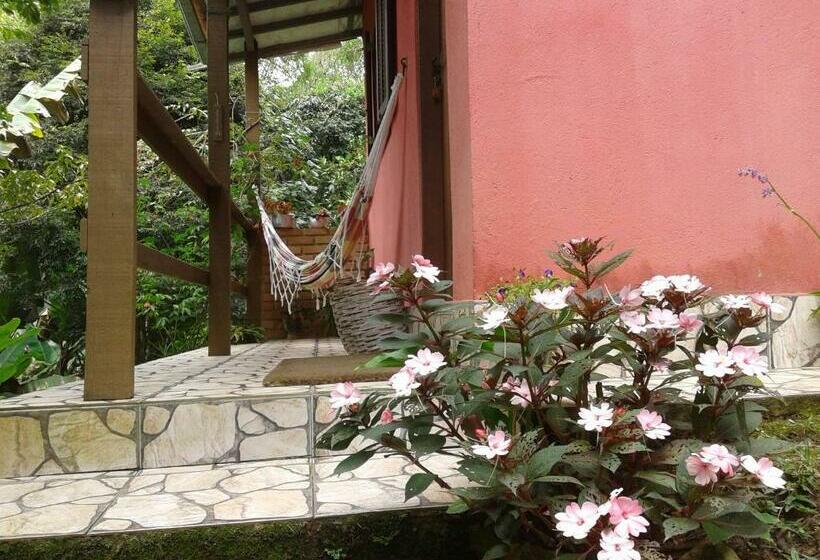 פנסיון Pousada Chácara Pacheco