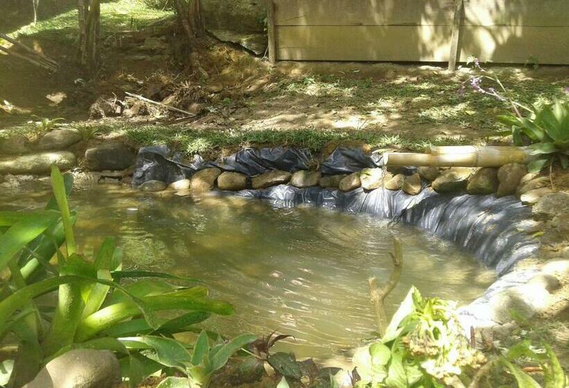 פנסיון Pousada Chácara Pacheco