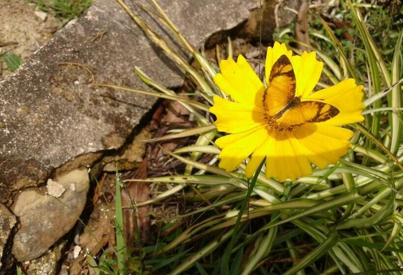 פנסיון Pousada Chácara Pacheco