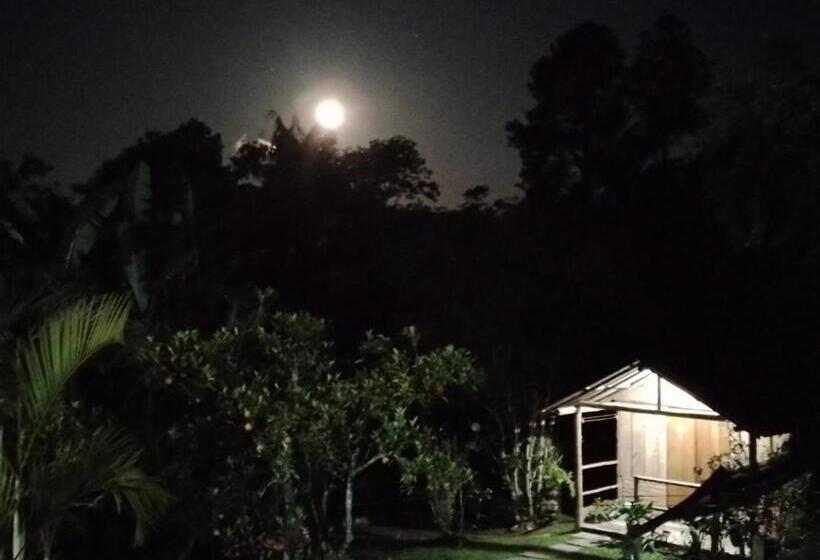 פנסיון Pousada Chácara Pacheco