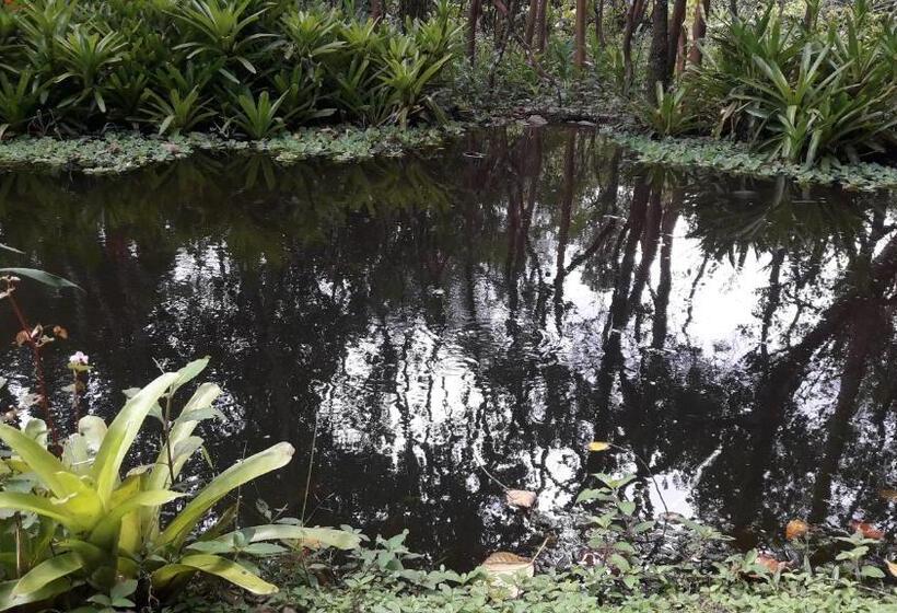 פנסיון Pousada Chácara Pacheco