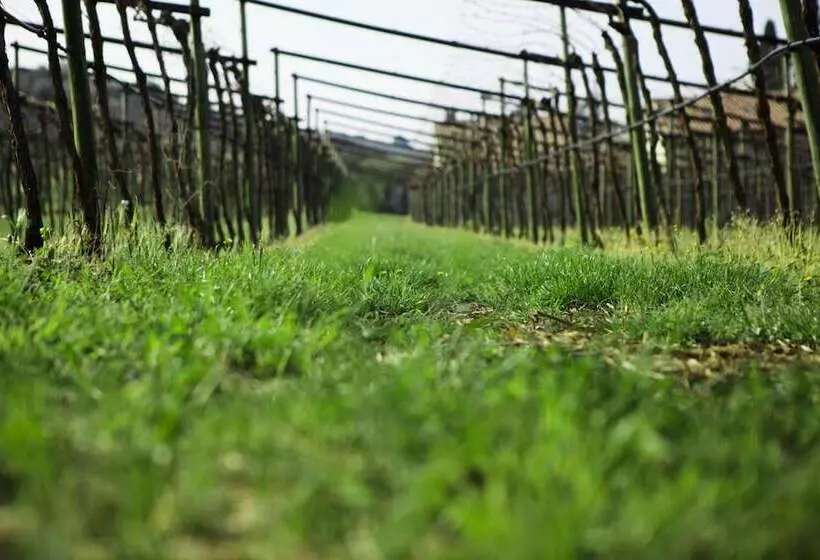 ホテル Azienda Agrituristica Corteforte