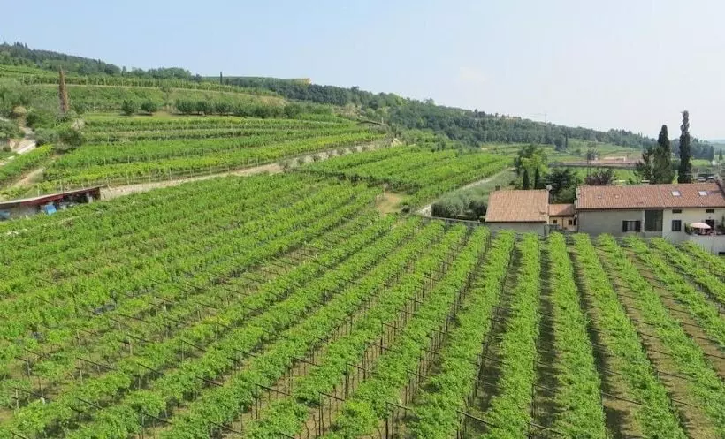 ホテル Azienda Agrituristica Corteforte
