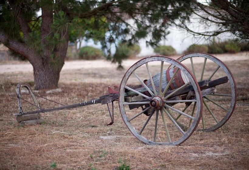 בית מלון כפרי Monte Dos Parvos