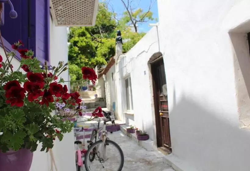 پانسیون Amaranda Ada Evi   Adults Only