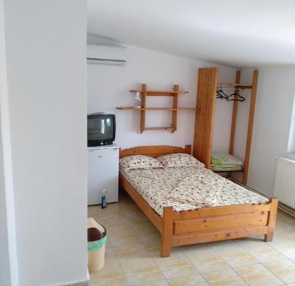 펜션 Apartamente Pinciuc Costinesti