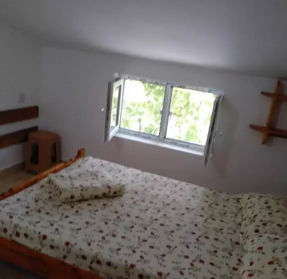 ペンション Apartamente Pinciuc Costinesti