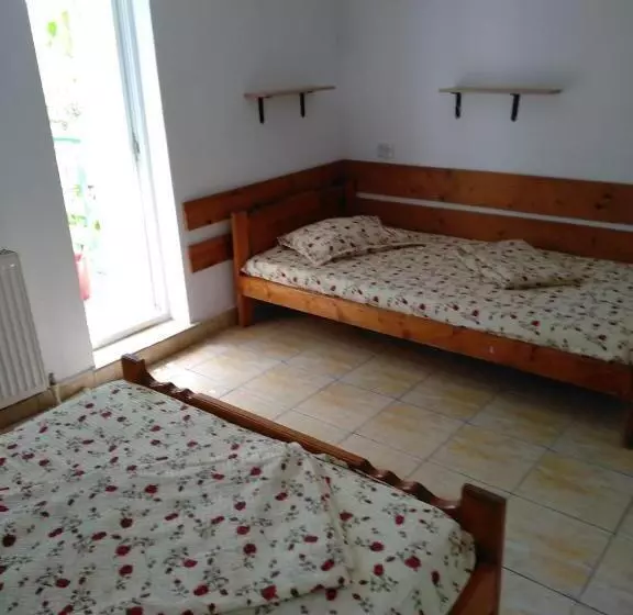 ペンション Apartamente Pinciuc Costinesti