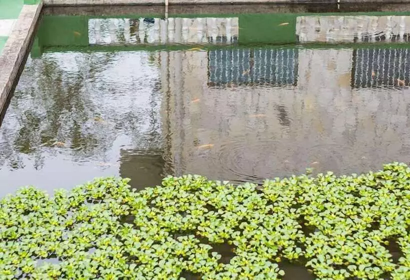 ペンション Pousada Pesque Park