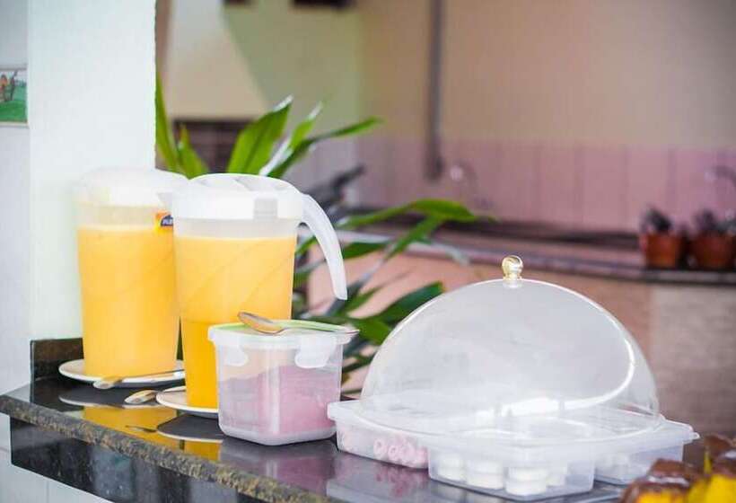 פנסיון Pousada Pesque Park