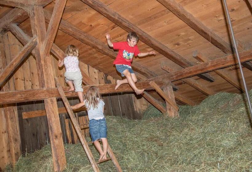 호텔 Ferienbauernhof Wieserhof