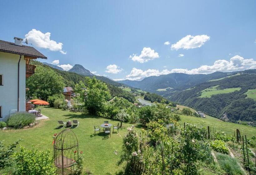 호텔 Ferienbauernhof Wieserhof