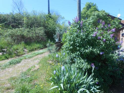 ペンション Gîte Des Monts