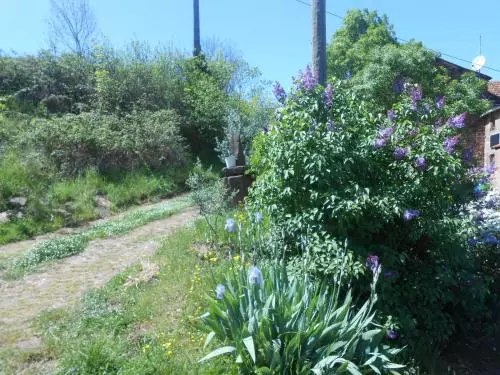 ペンション Gîte Des Monts