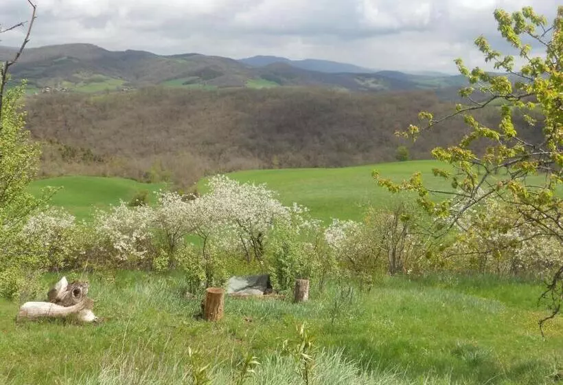 ペンション Gîte Des Monts