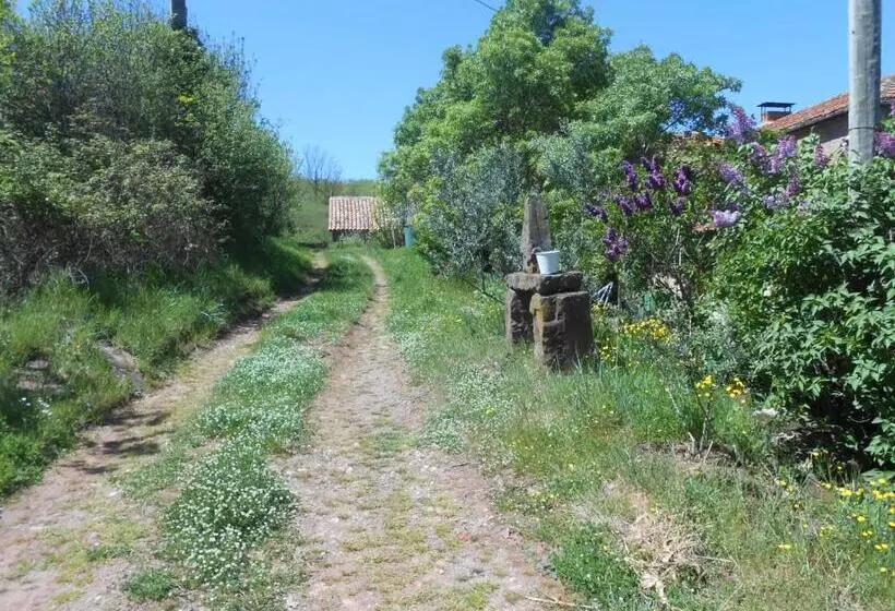 ペンション Gîte Des Monts