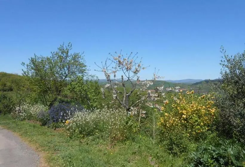 ペンション Gîte Des Monts