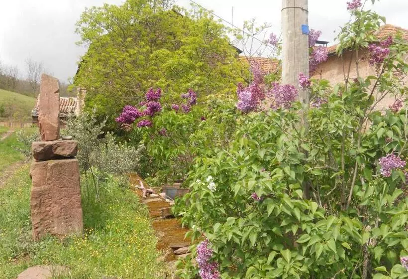 ペンション Gîte Des Monts