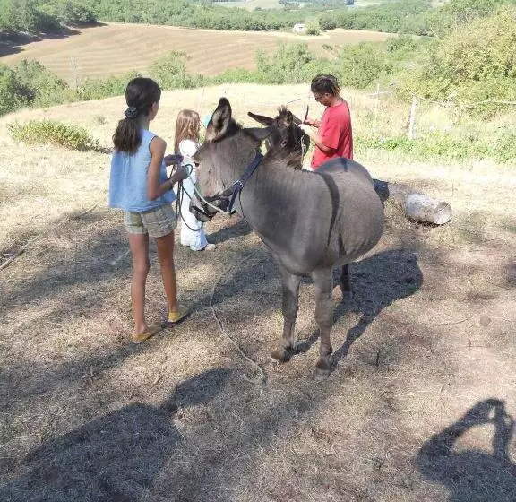 ペンション Gîte Des Monts