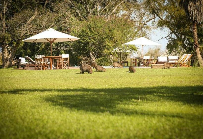 הוסטל Aguapé Lodge