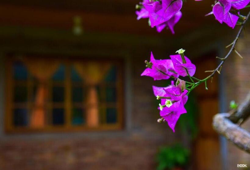 הוסטל Las Azaleas