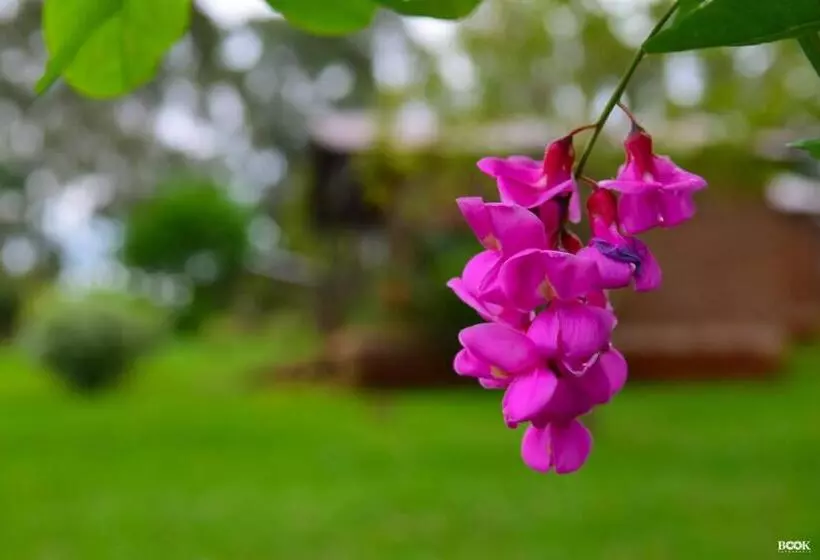 ユースホステル Las Azaleas