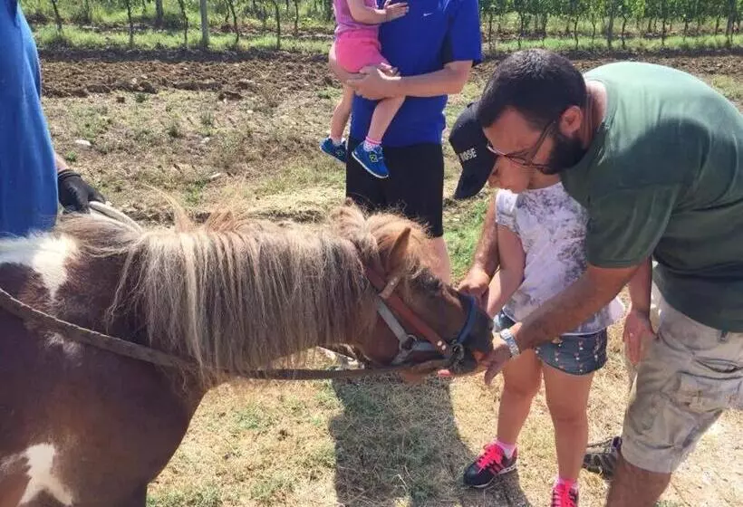 ホテル Agriturismo Scannano