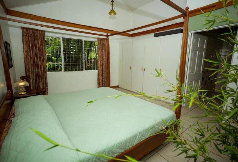 膳宿费 Casa De Piedra Escazú