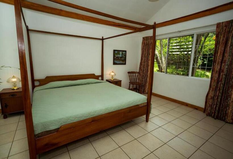 膳宿费 Casa De Piedra Escazú