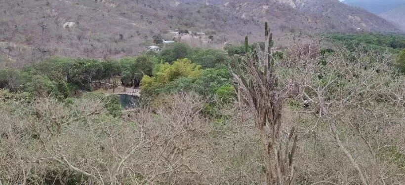 ペンション Hostal Alcazaba