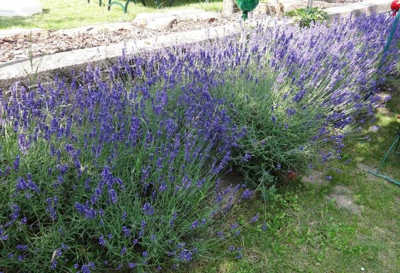 펜션 Landgasthof Jägerstübchen