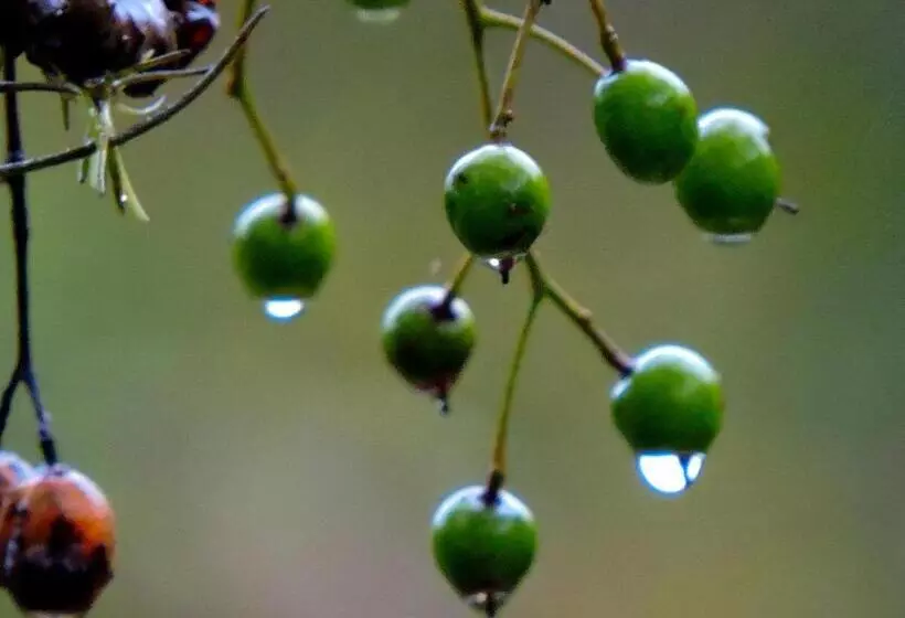 Retkeilymaja Hosteria Sans Souci