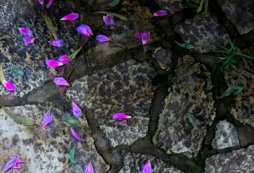 Retkeilymaja Hosteria Sans Souci