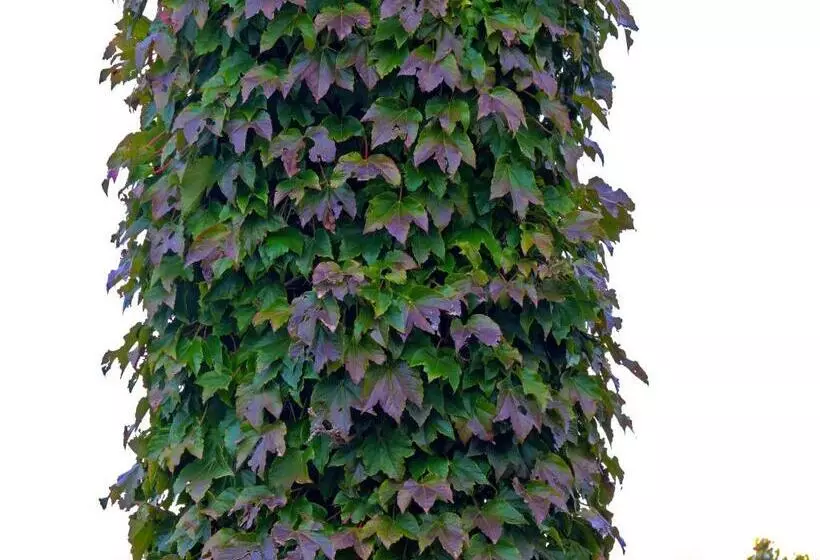 Retkeilymaja Hosteria Sans Souci