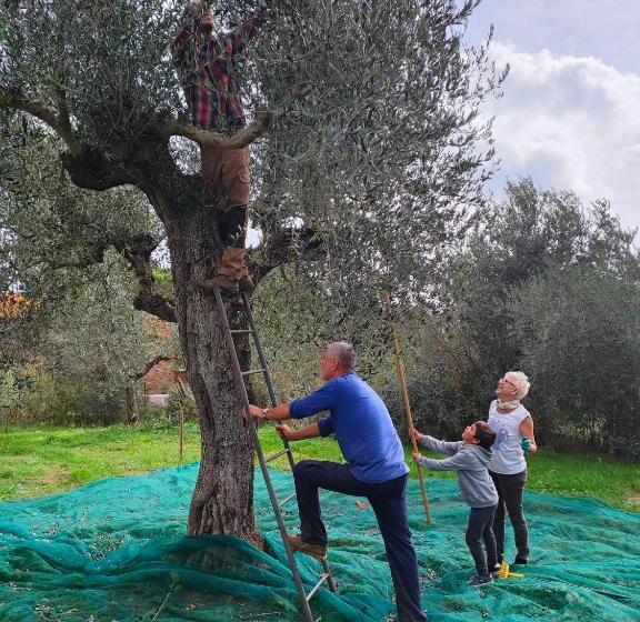 בית מלון כפרי Agriturismo Colle Vento