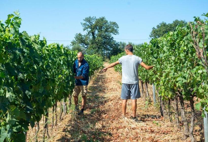 בית מלון כפרי Agriturismo Colle Vento