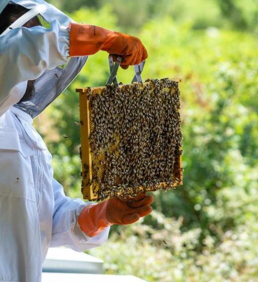 בית מלון כפרי Agriturismo Colle Vento