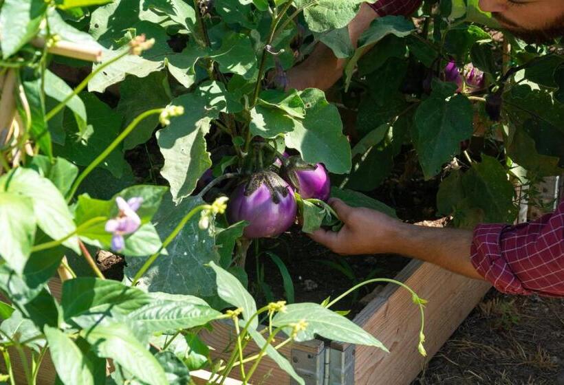 בית מלון כפרי Agriturismo Colle Vento