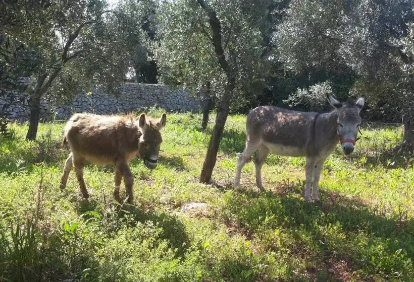 Hotelli Agriturismo Specchiarussa