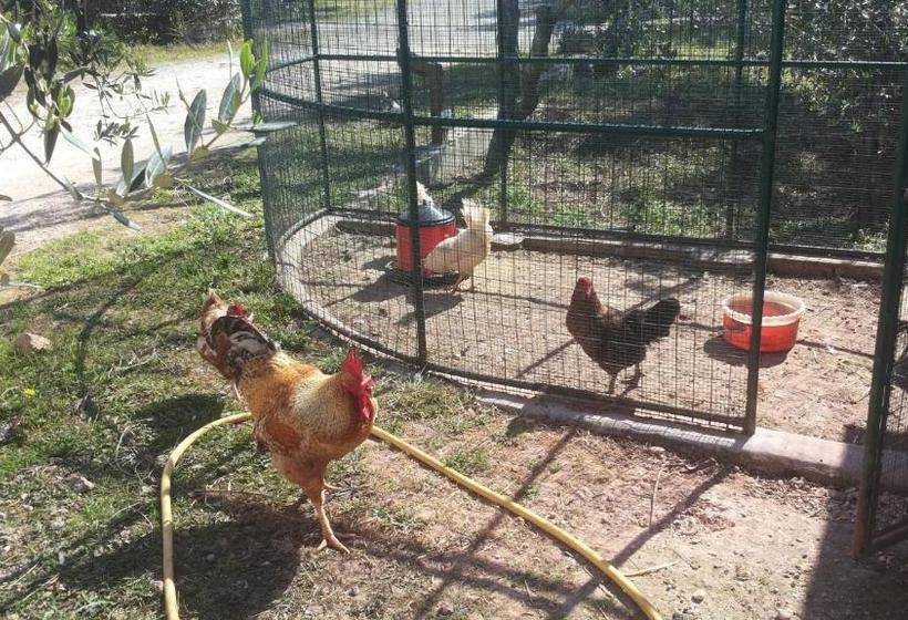 Отель Agriturismo Specchiarussa