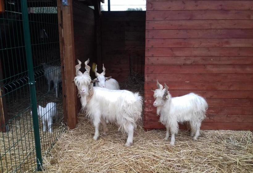 Отель Agriturismo Specchiarussa