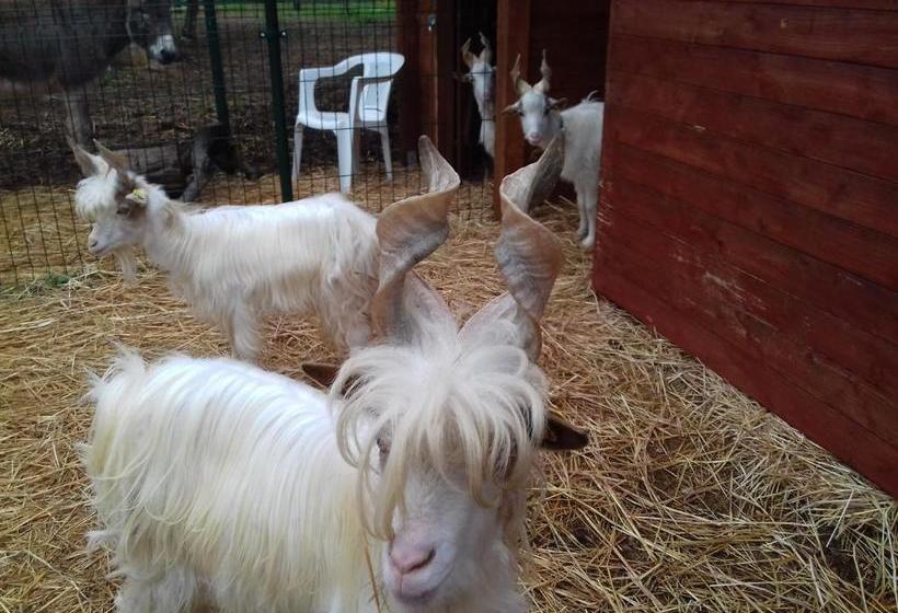 Отель Agriturismo Specchiarussa