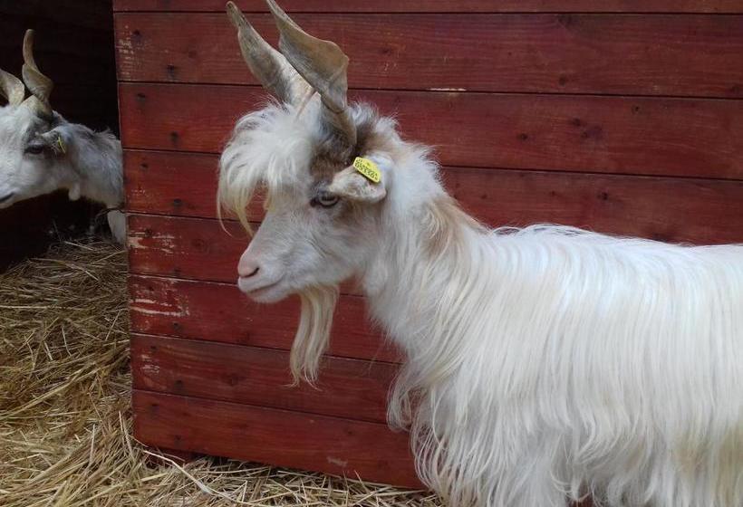 Отель Agriturismo Specchiarussa